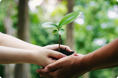 SDGs達成に向けた取り組み